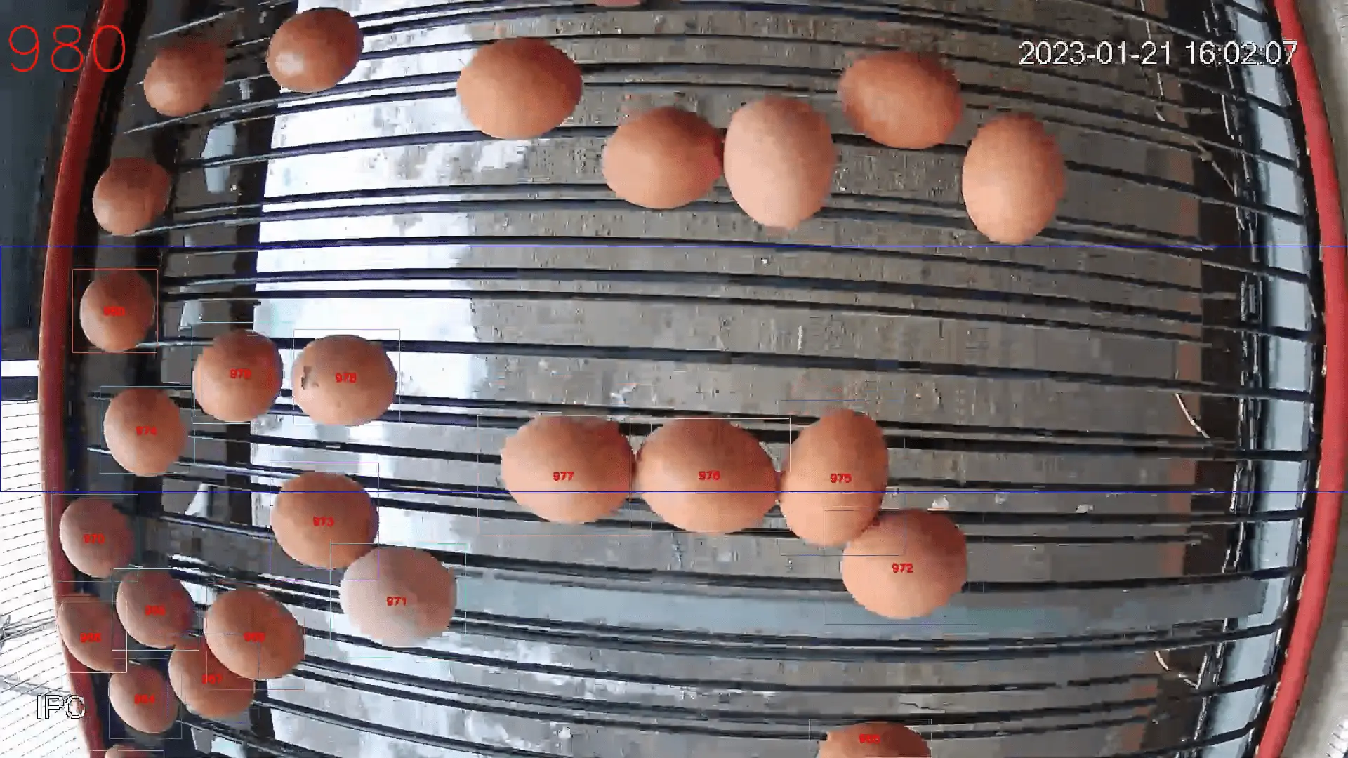 Computer vision video egg counter tracks eggs on a poultry farm conveyor to automate production counting and verify counting accuracy