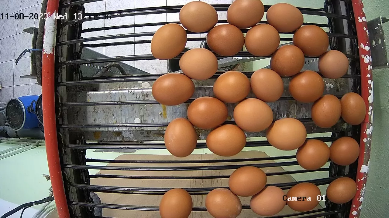 counting brown eggs with a conventional camera