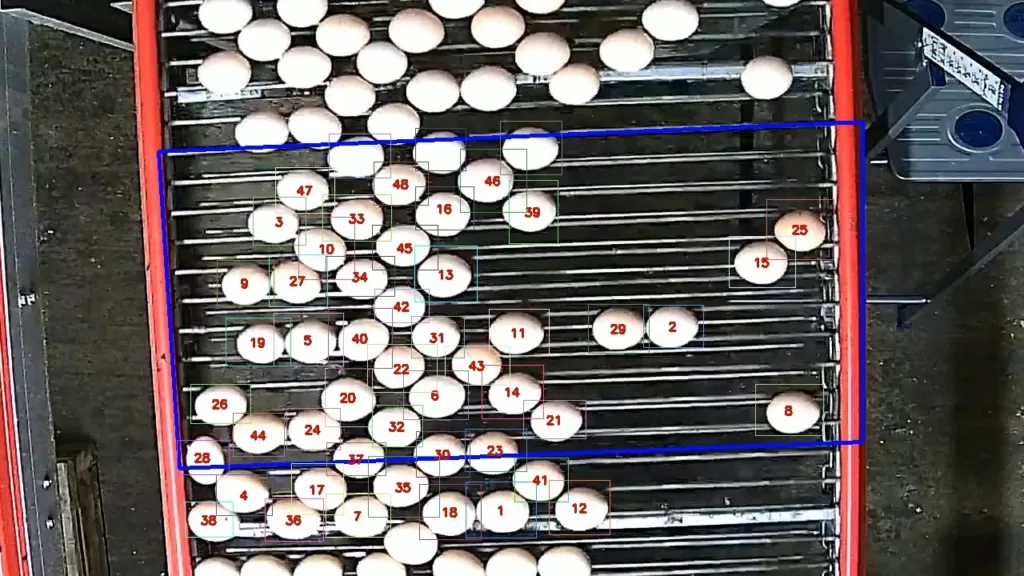 egg counting based on camera vision