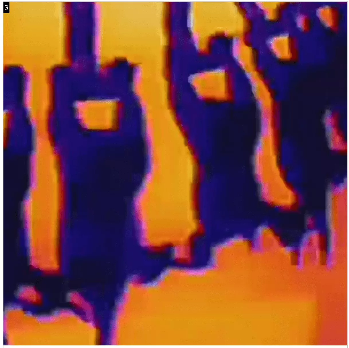 Completely frozen poultry carcasses on a thermal imaging picture — uniform dark blue colour during freeze quality control using computer vision