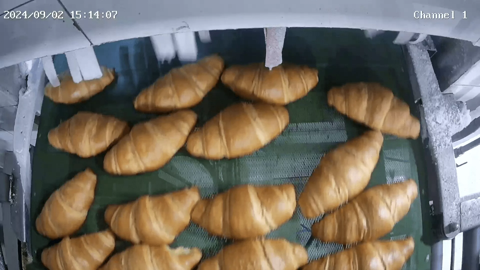 Finished bread products counted after oven exit