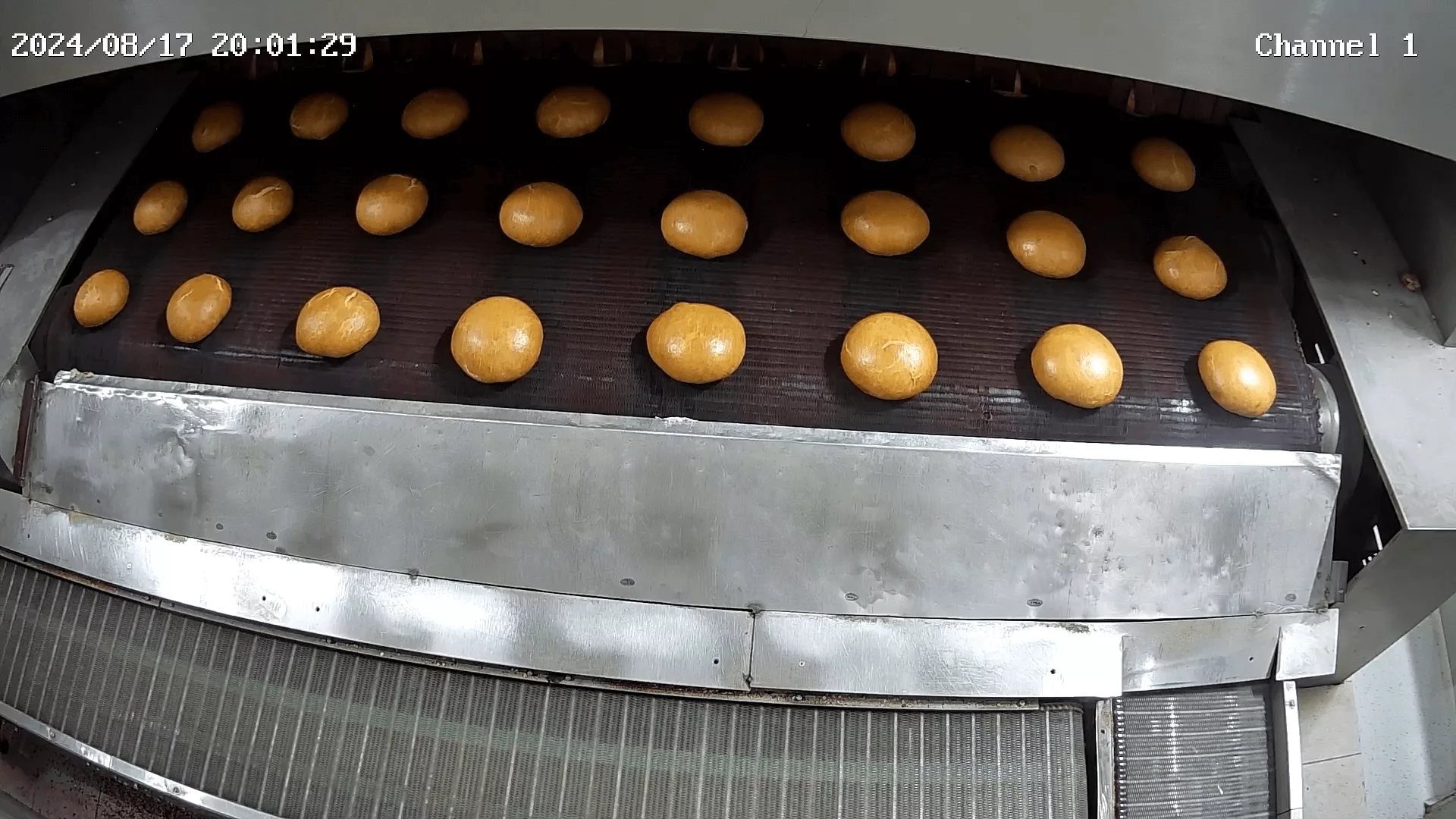 Multiple bread types on conveyor belt requiring visual recognition