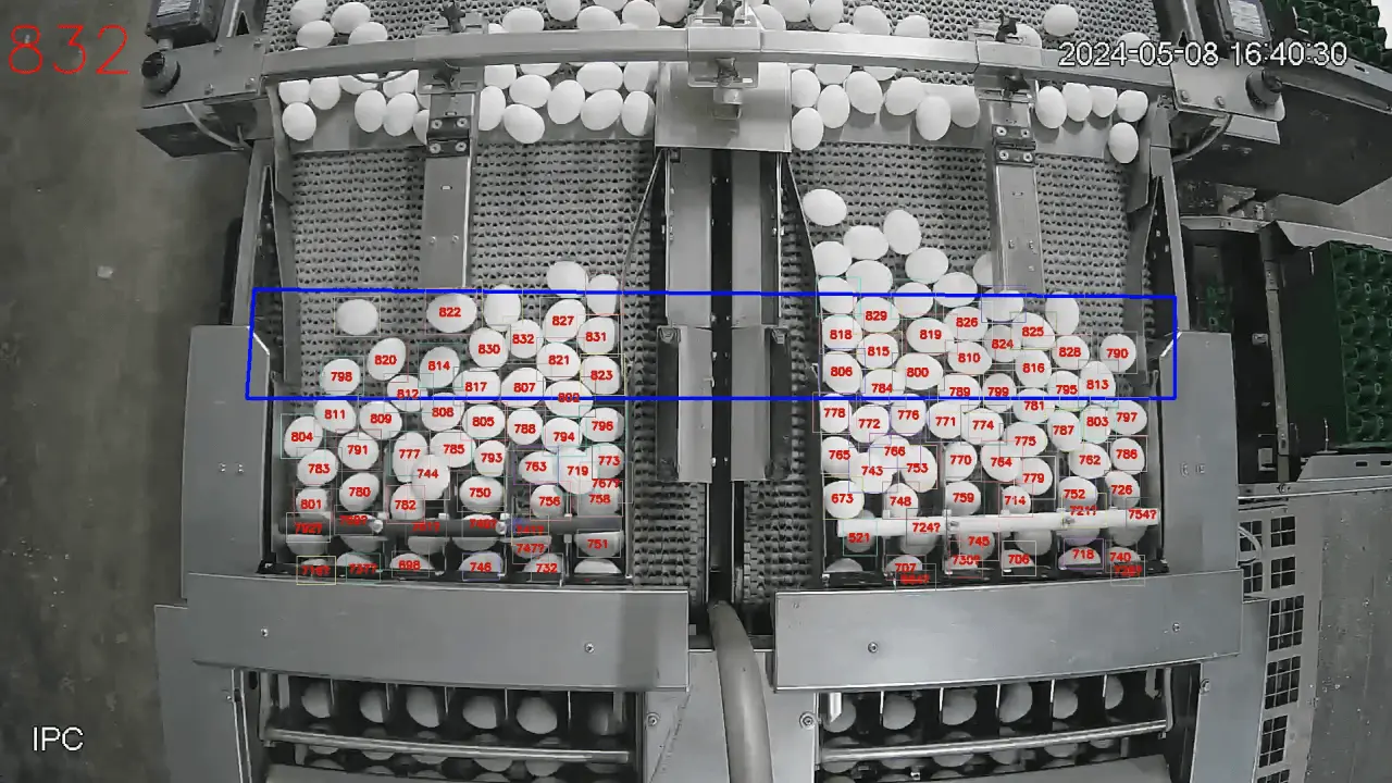 Egg production monitoring system for poultry farms Automated egg counting on poultry farm conveyor line — CamContador
