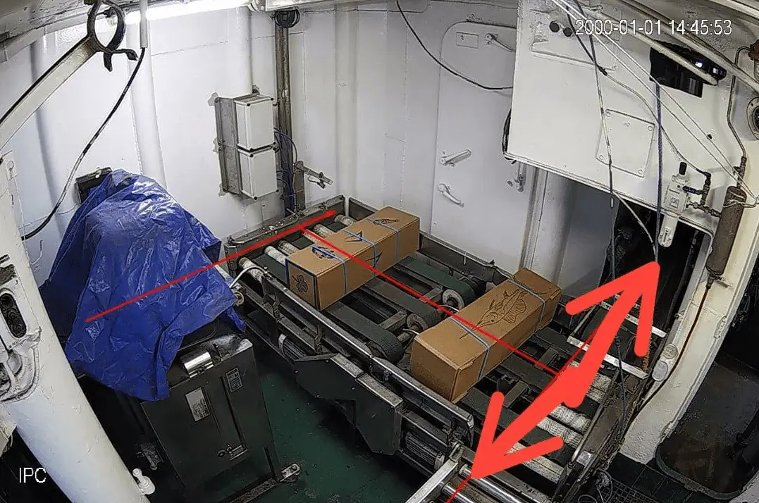 Boxes of frozen fish moving along the conveyor towards the counting zone, direction of travel marked with red arrows